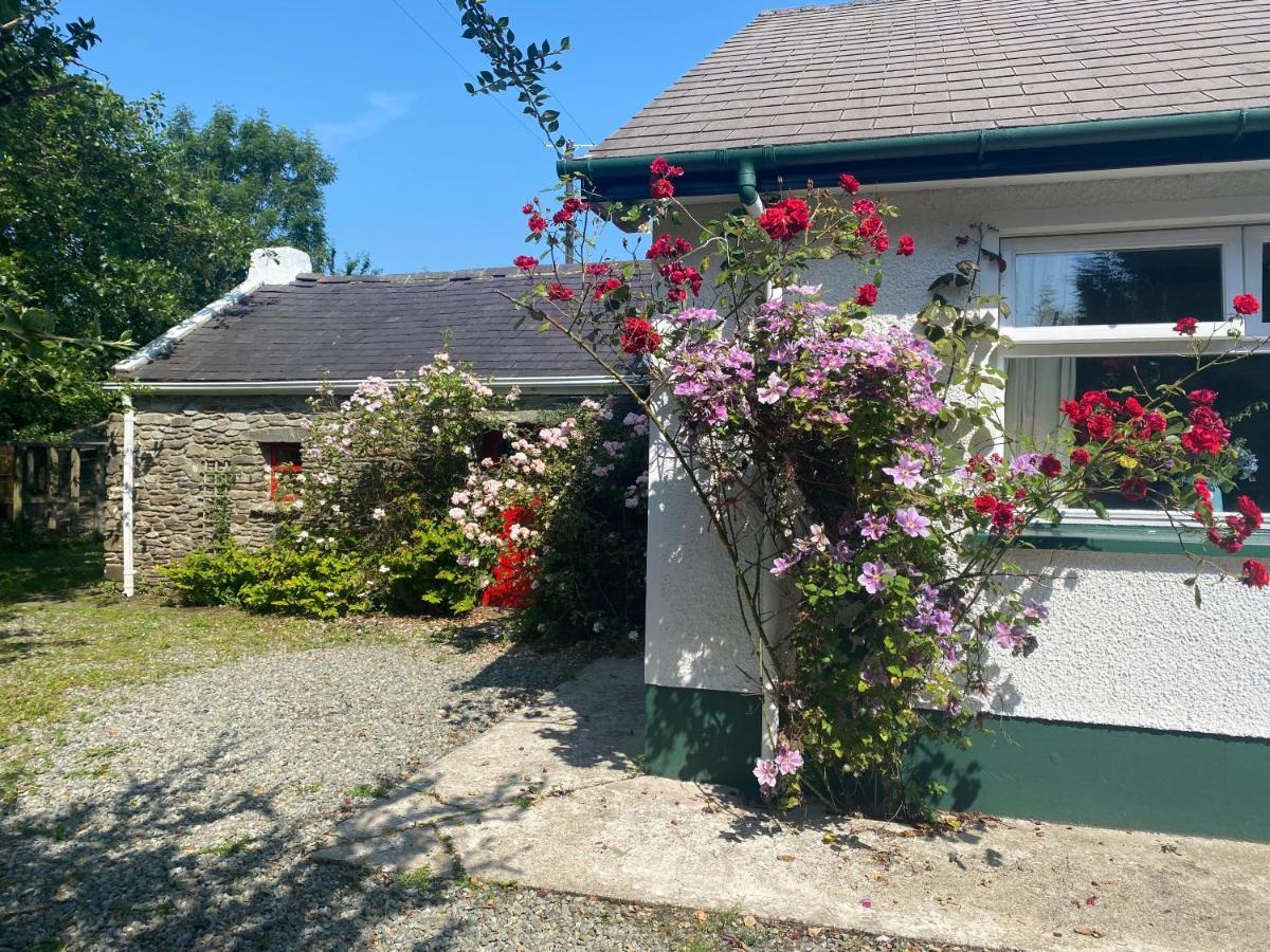 Hawthorn Cottage Greencastle  Exterior photo